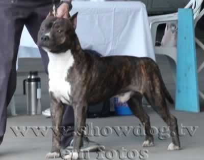 Clique sobre a foto para fechar